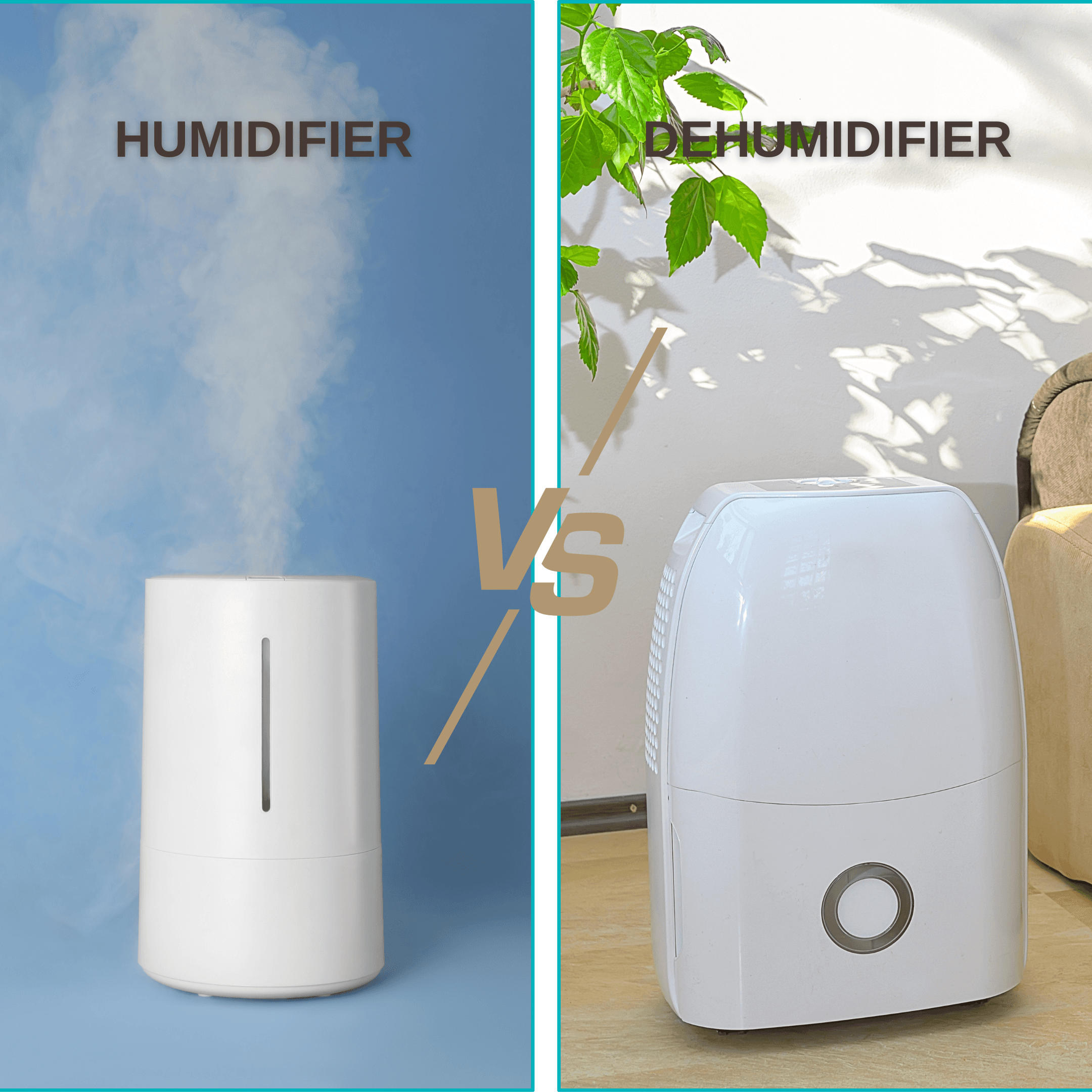 Humidifier vs. Dehumidifier: What’s the Difference and Why It Matters for Your Health